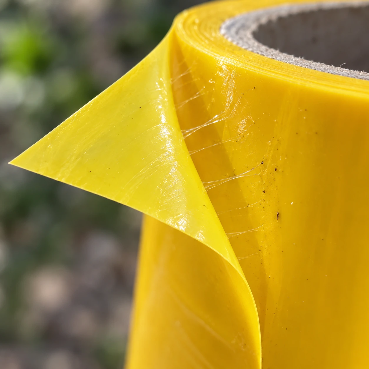Bord du rouleau de glu soulevé, filaments de colle visqueuse entre les couches