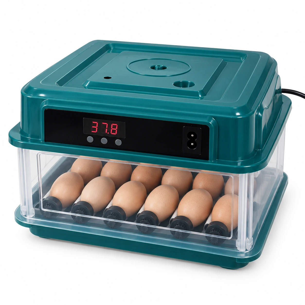 Couveuse 12 oeufs a capot vert sarcelle et parois transparentes, oeufs entre les rouleaux, vue de trois quarts sur fond blanc