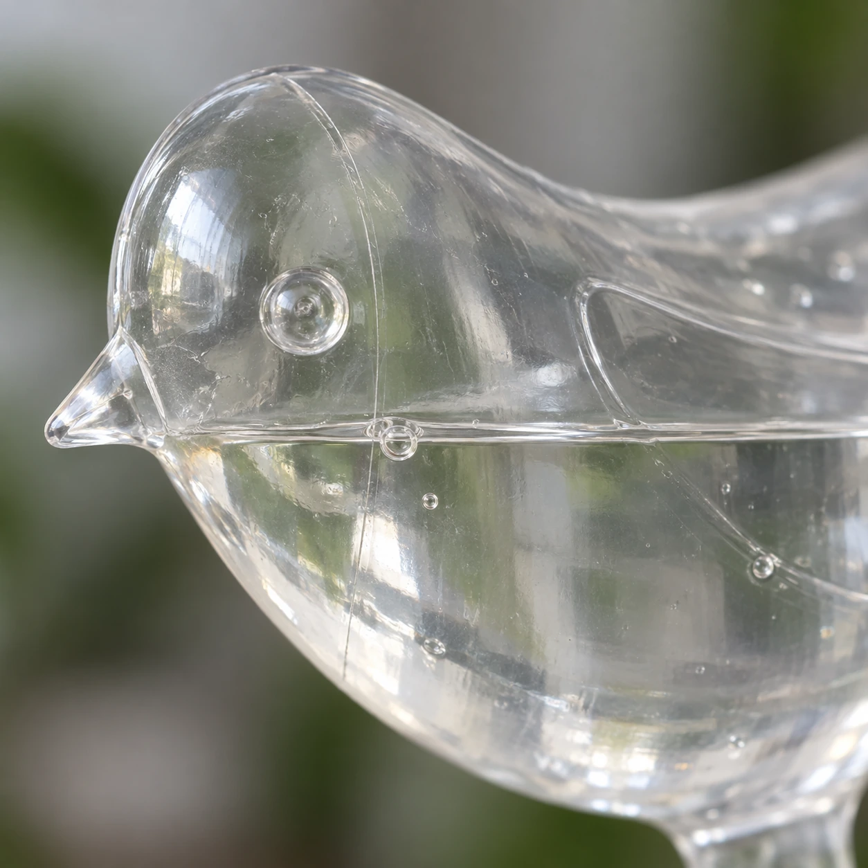 Gros plan sur la tête moulée du globe oiseau, bec, oeil et ligne d'eau bien visibles