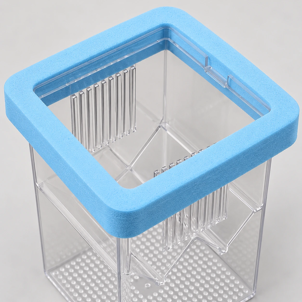 Le collier de mousse à cellules fermées, vu de près au-dessus de la boîte d'élevage