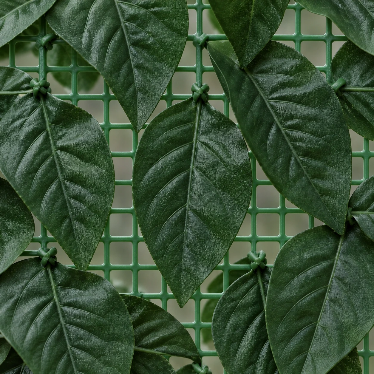 Gros plan sur les feuilles nervurées du panneau, piquées sur le filet à mailles carrées