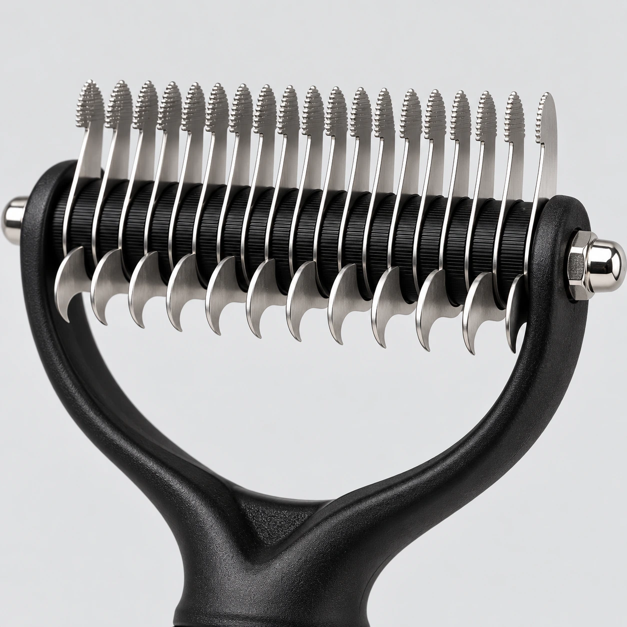 Gros plan sur la tête : la rangée de dents fines et striées au-dessus, les lames courbées en crochet en dessous