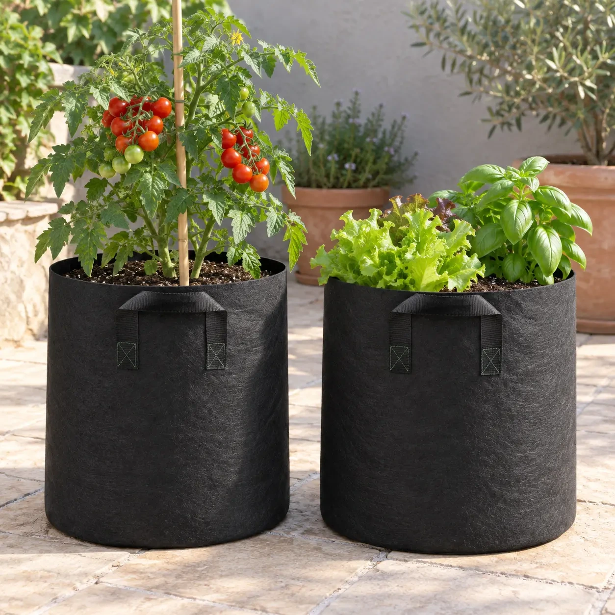 Deux grands sacs de culture garnis de plantations alignés sur une terrasse